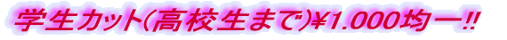 �w���J�b�g(���Z���܂�)\1.000�ψ�!! 